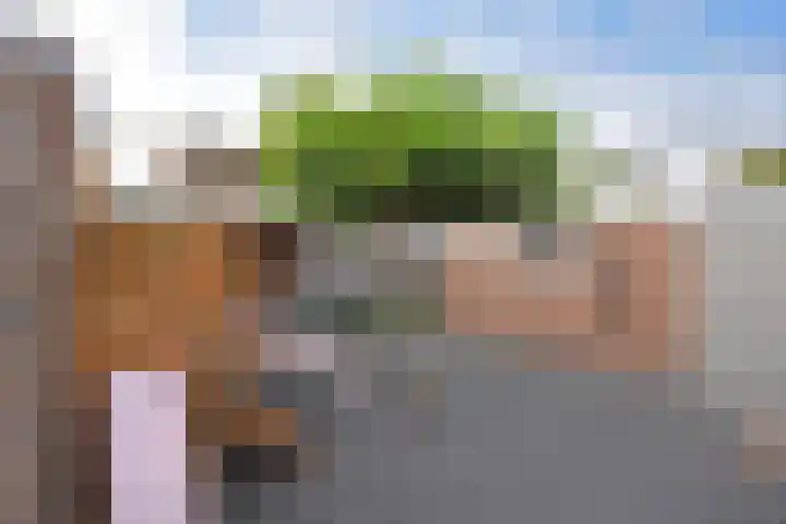 Houtsagersstrjitte 12 Burgum thumbnail 7