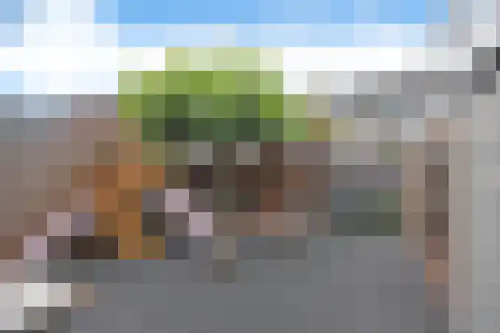 Houtsagersstrjitte 12 Burgum thumbnail 8