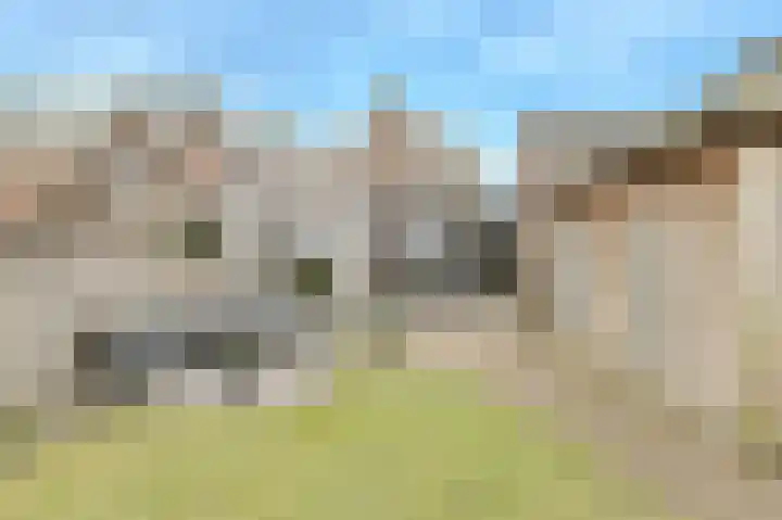 Houtse Heuvel 23 A Den Hout