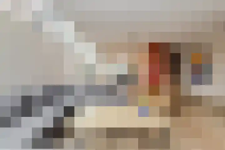 Houtse Heuvel 23 A Den Hout thumbnail 10