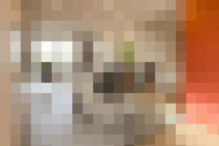 Houtse Heuvel 23 A Den Hout thumbnail 13