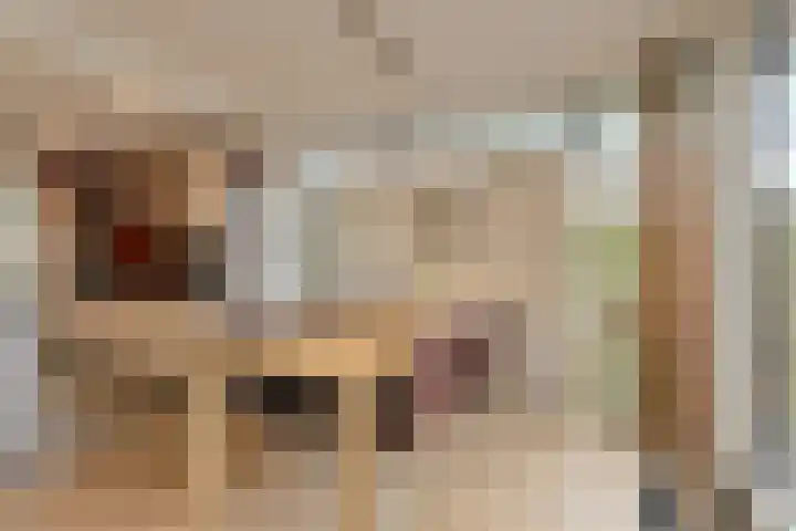 Houtse Heuvel 23 A Den Hout thumbnail 16