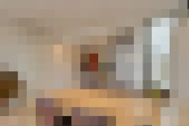Houtse Heuvel 23 A Den Hout thumbnail 17