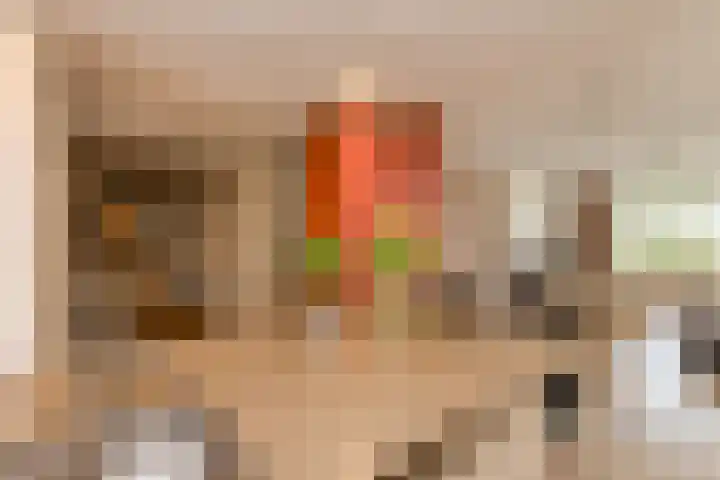 Houtse Heuvel 23 A Den Hout thumbnail 19