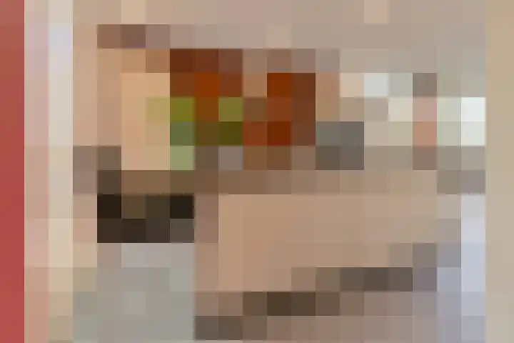 Houtse Heuvel 23 A Den Hout thumbnail 20