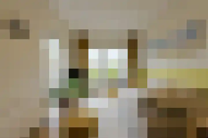Houtse Heuvel 23 A Den Hout thumbnail 22