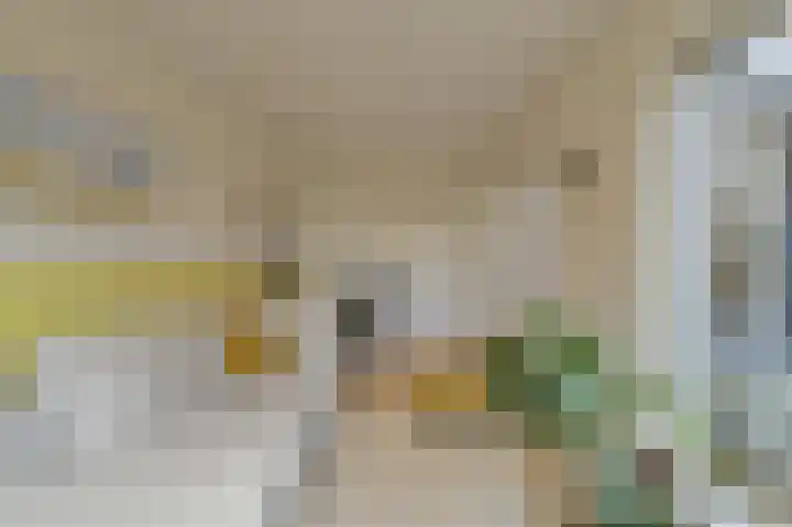 Houtse Heuvel 23 A Den Hout thumbnail 23