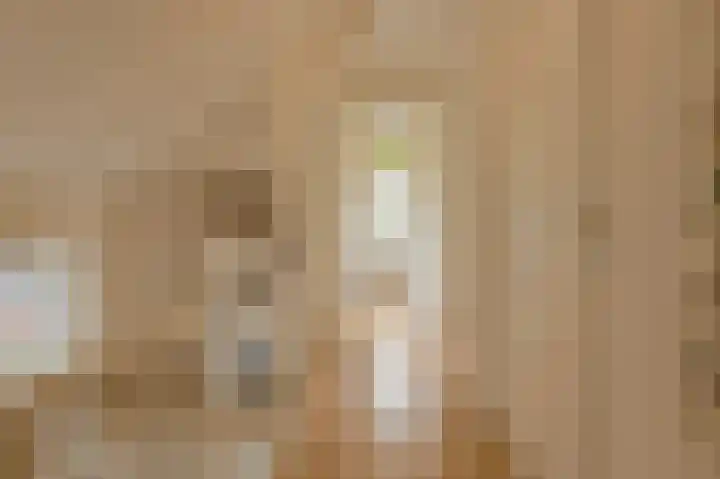 Houtse Heuvel 23 A Den Hout thumbnail 27