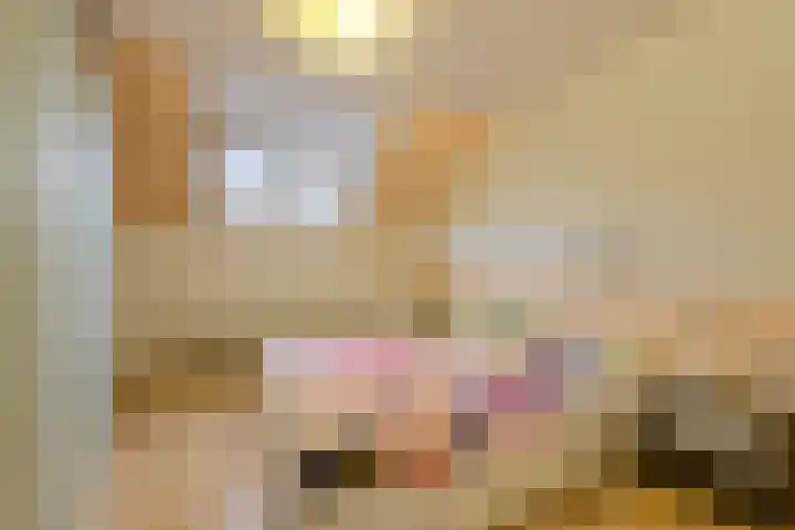 Houtse Heuvel 23 A Den Hout thumbnail 28