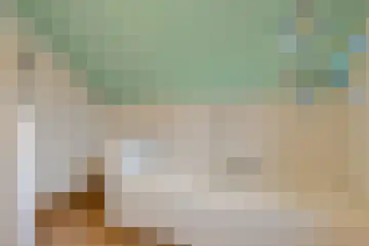 Houtse Heuvel 23 A Den Hout thumbnail 31