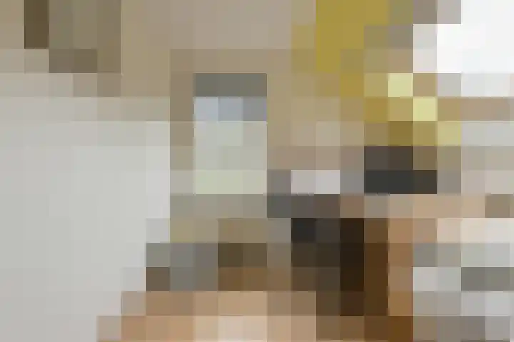Houtse Heuvel 23 A Den Hout thumbnail 34