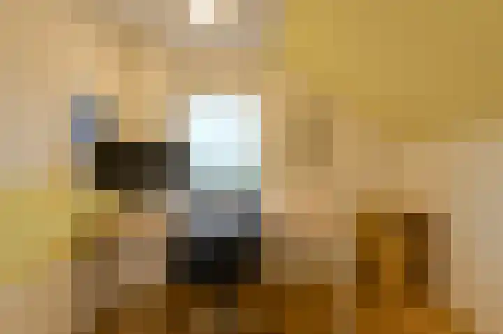 Houtse Heuvel 23 A Den Hout thumbnail 37