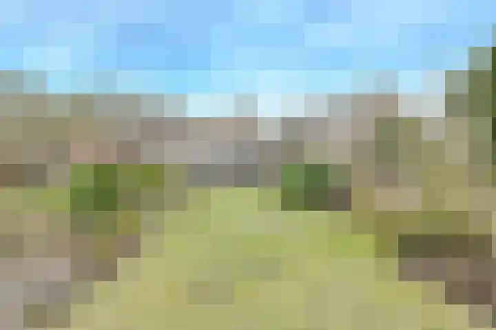 Houtse Heuvel 23 A Den Hout thumbnail 38