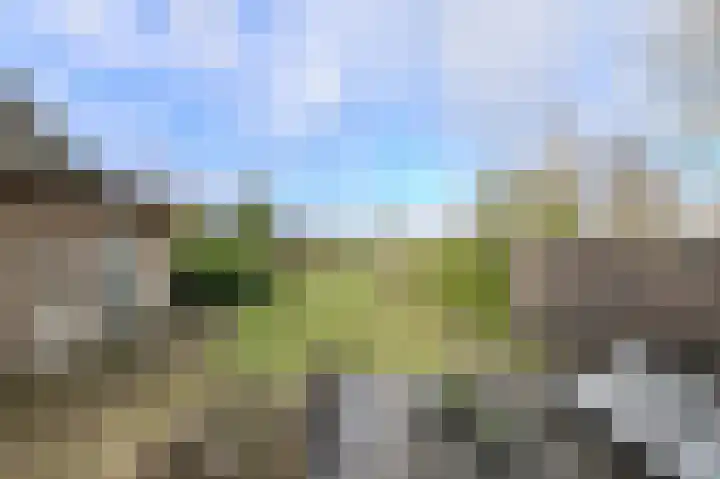 Houtse Heuvel 23 A Den Hout thumbnail 43
