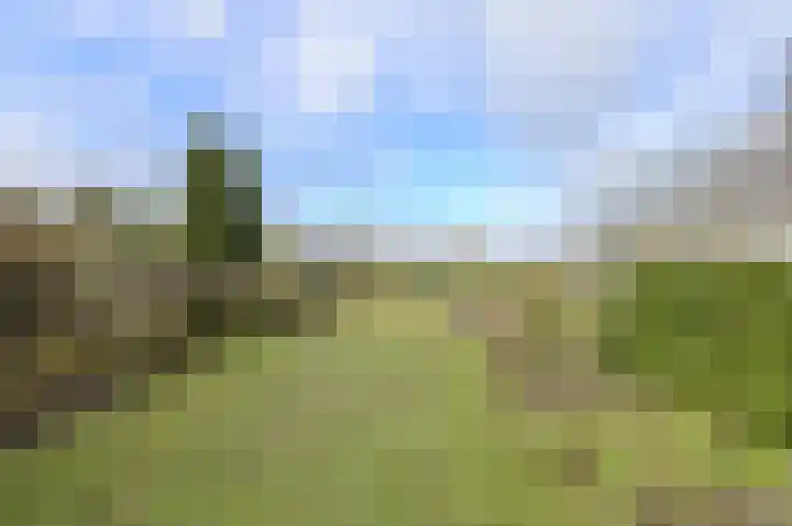 Houtse Heuvel 23 A Den Hout thumbnail 44