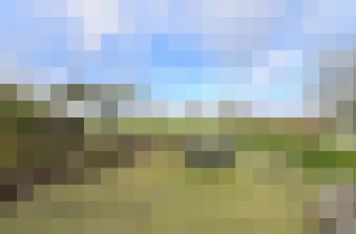 Houtse Heuvel 23 A Den Hout thumbnail 45