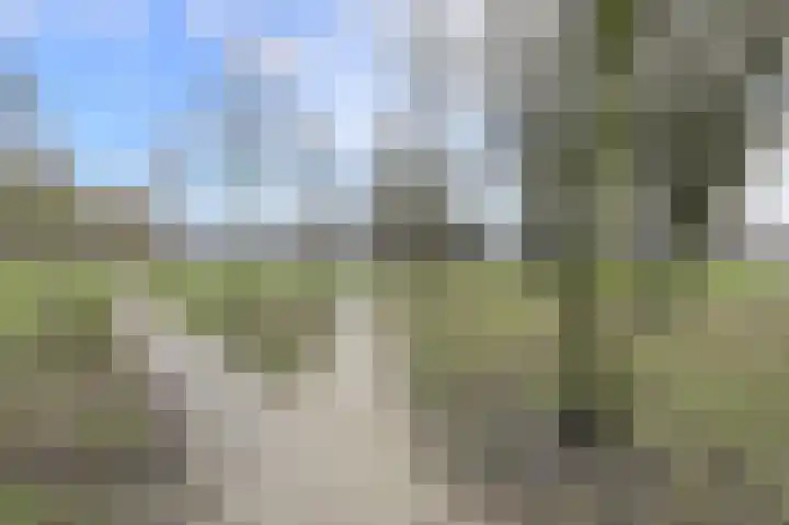 Houtse Heuvel 23 A Den Hout thumbnail 47
