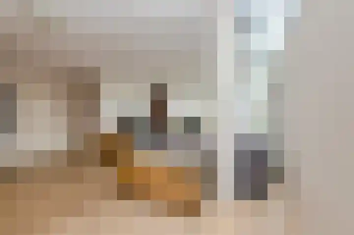 Houtse Heuvel 23 A Den Hout thumbnail 5