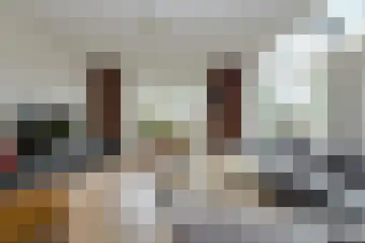 Houtse Heuvel 23 A Den Hout thumbnail 6