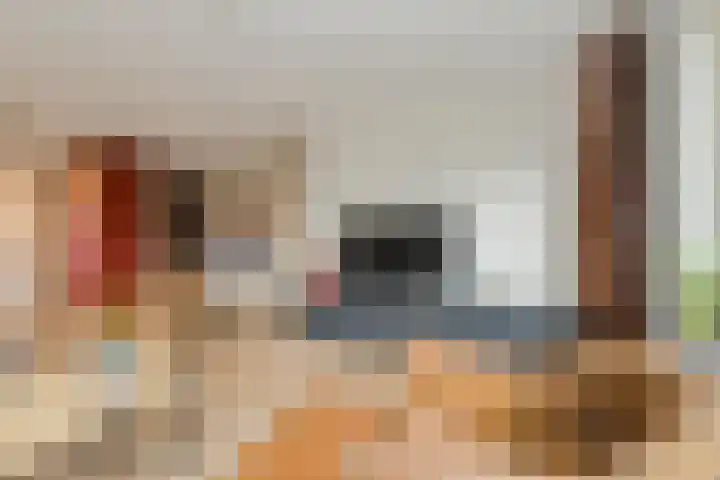Houtse Heuvel 23 A Den Hout thumbnail 8