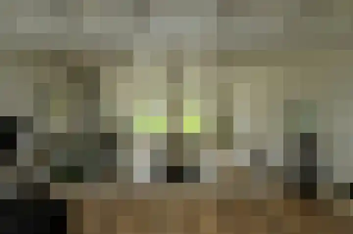 Houtse Heuvel 35 A Den Hout thumbnail 10