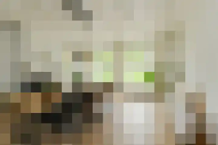Houtse Heuvel 35 A Den Hout thumbnail 12