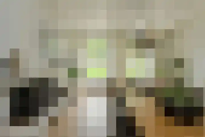 Houtse Heuvel 35 A Den Hout thumbnail 13