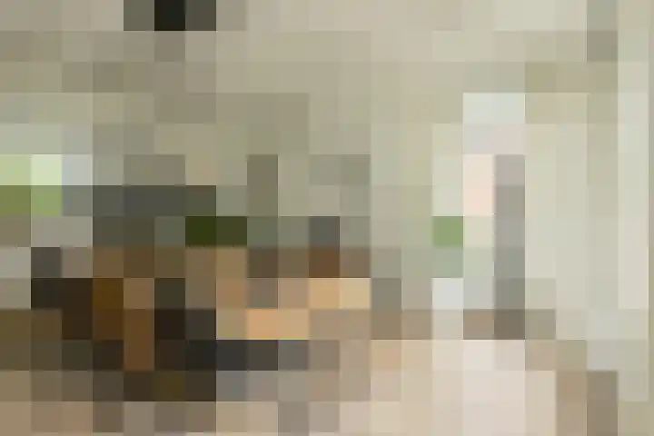 Houtse Heuvel 35 A Den Hout thumbnail 14
