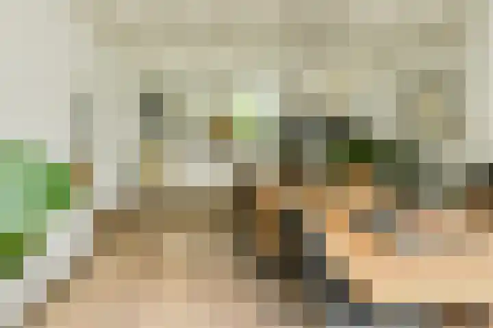 Houtse Heuvel 35 A Den Hout thumbnail 15