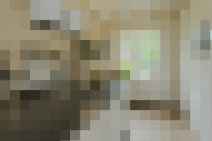 Houtse Heuvel 35 A Den Hout thumbnail 17