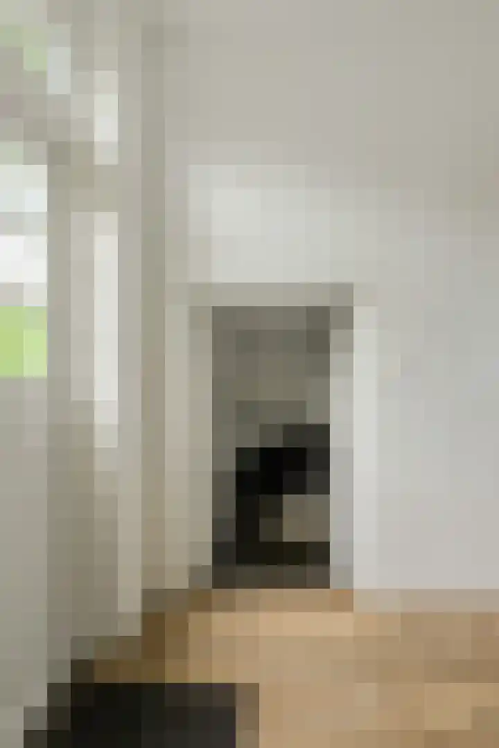 Houtse Heuvel 35 A Den Hout thumbnail 20