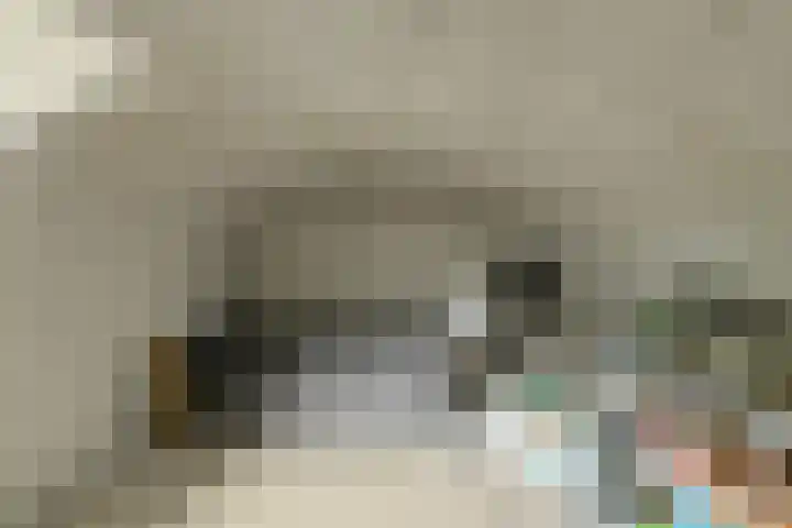 Houtse Heuvel 35 A Den Hout thumbnail 22