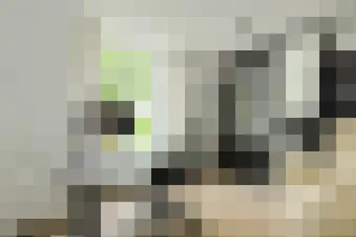Houtse Heuvel 35 A Den Hout thumbnail 23