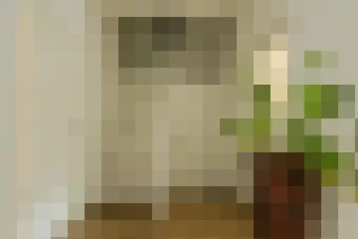Houtse Heuvel 35 A Den Hout thumbnail 25