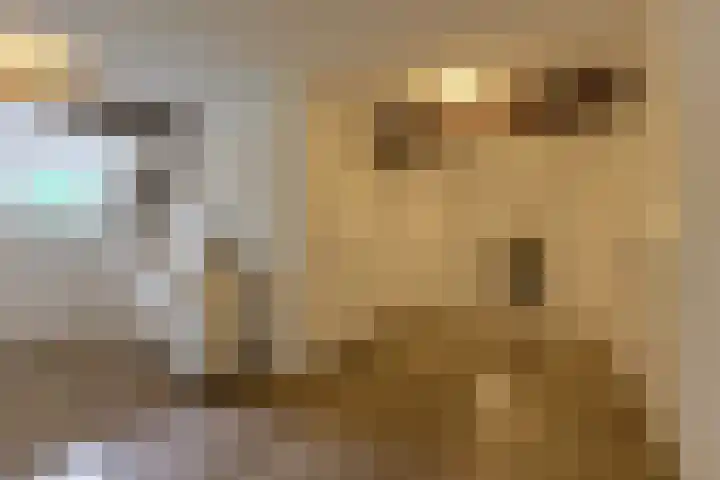 Houtse Heuvel 35 A Den Hout thumbnail 26