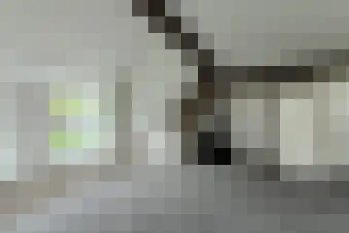 Houtse Heuvel 35 A Den Hout thumbnail 30