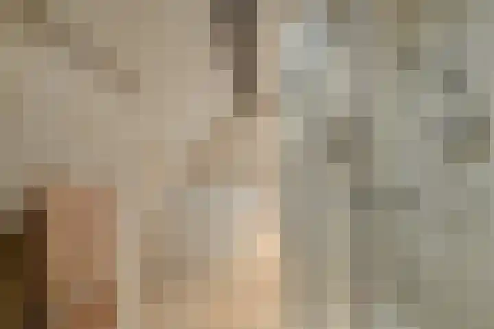 Houtse Heuvel 35 A Den Hout thumbnail 31