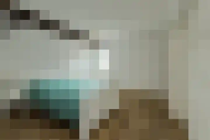 Houtse Heuvel 35 A Den Hout thumbnail 36