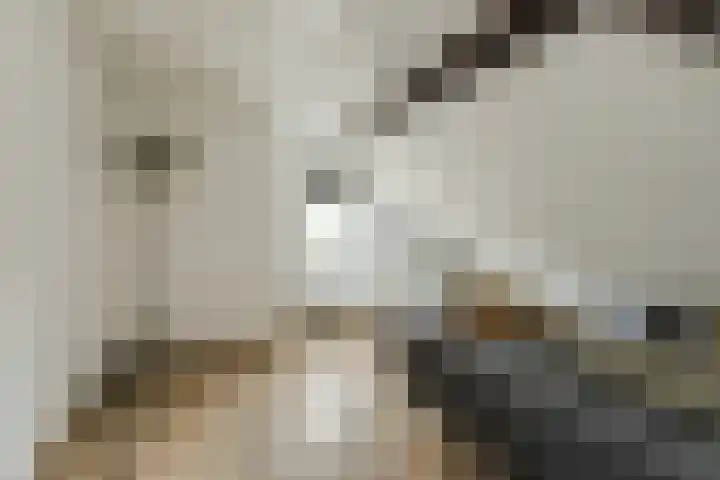 Houtse Heuvel 35 A Den Hout thumbnail 38