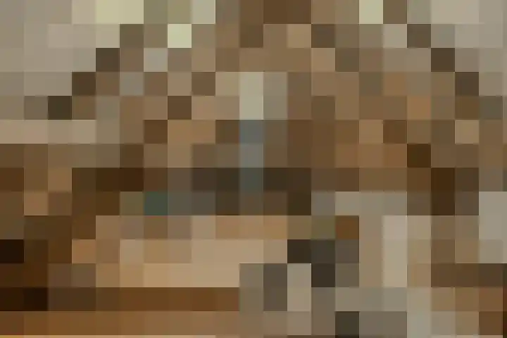 Houtse Heuvel 35 A Den Hout thumbnail 40