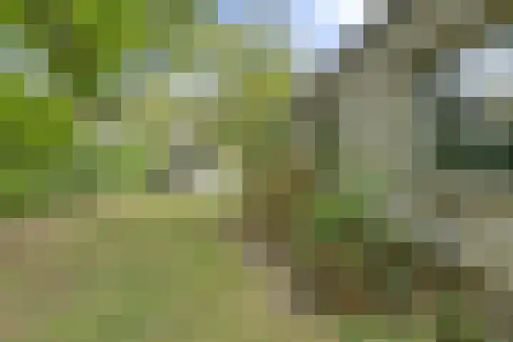 Houtse Heuvel 35 A Den Hout thumbnail 42