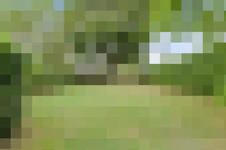 Houtse Heuvel 35 A Den Hout thumbnail 43