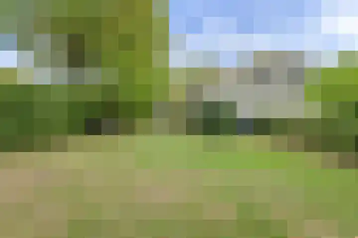 Houtse Heuvel 35 A Den Hout thumbnail 44
