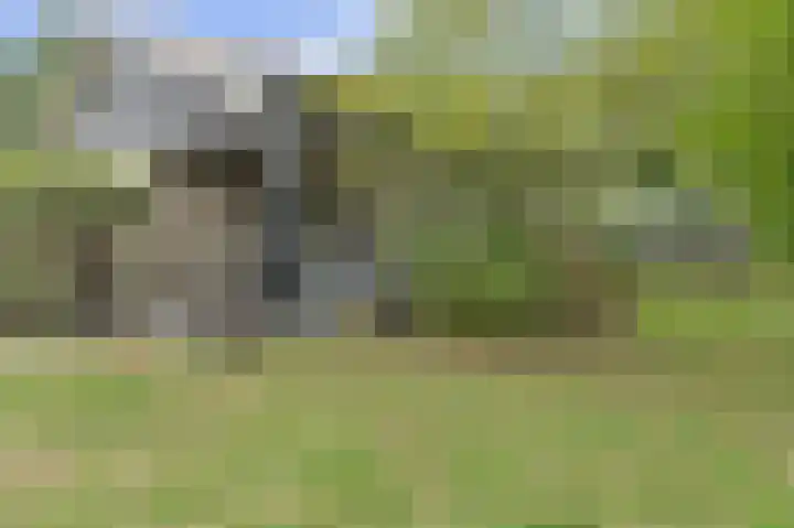 Houtse Heuvel 35 A Den Hout thumbnail 47