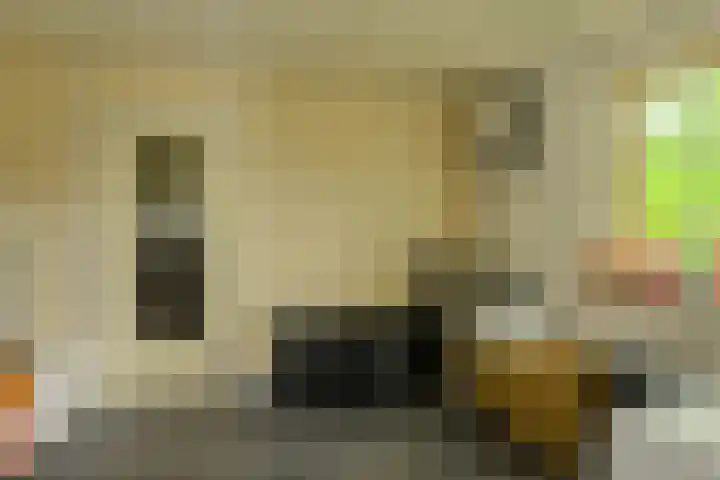 Houtse Heuvel 35 A Den Hout thumbnail 48