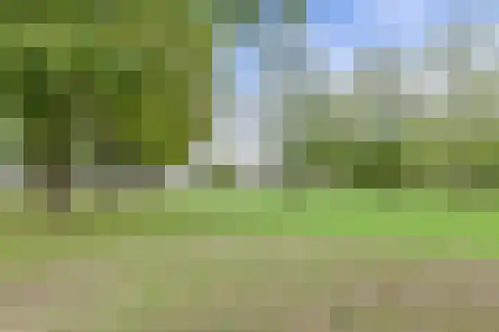 Houtse Heuvel 35 A Den Hout thumbnail 55
