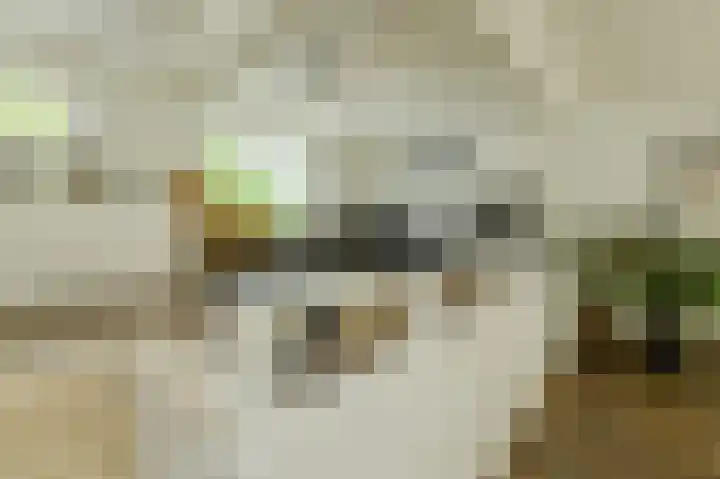 Houtse Heuvel 35 A Den Hout thumbnail 6