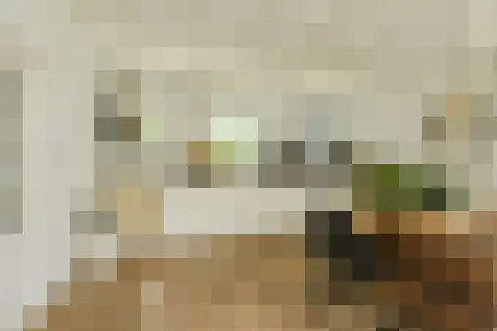 Houtse Heuvel 35 A Den Hout thumbnail 7