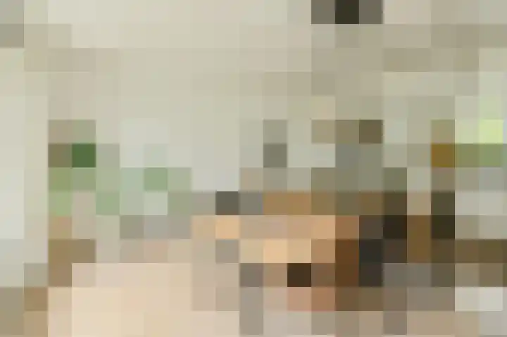 Houtse Heuvel 35 A Den Hout thumbnail 8