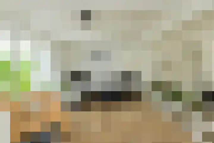 Houtse Heuvel 35 A Den Hout thumbnail 9